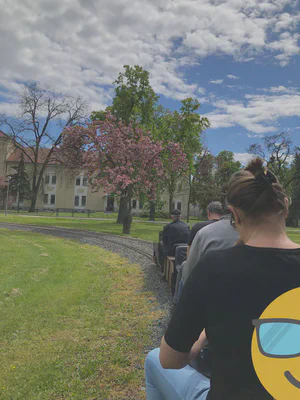 Fahren mit dem Miniatur Zug