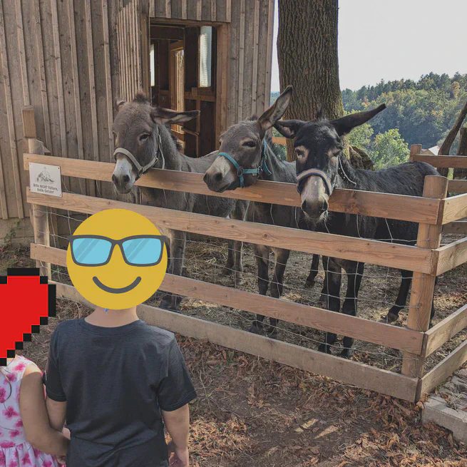 Schaulandwirtschaft und Streichelzoo Lustbühel