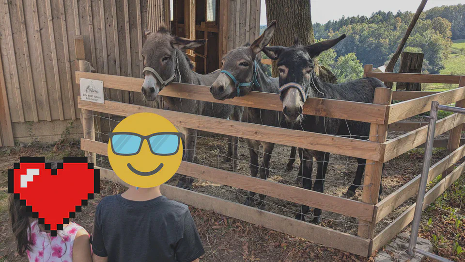 Schaulandwirtschaft und Streichelzoo Lustbühel